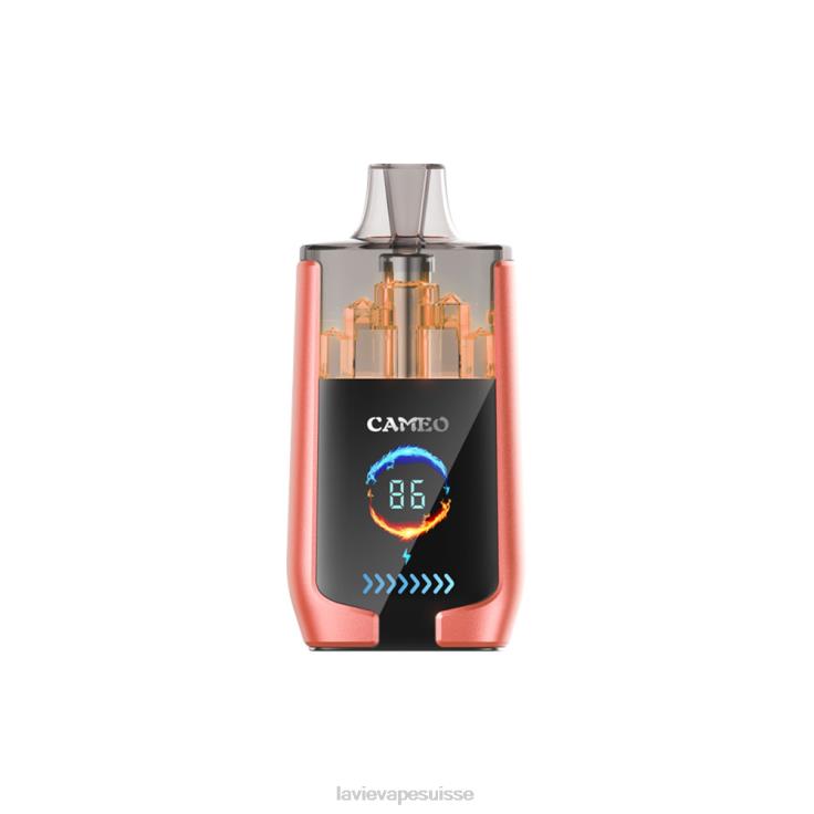 pastèque fraise LAVIE CAMEO 30000 bouffées 2DHBL24 | Lavie E Cigarette