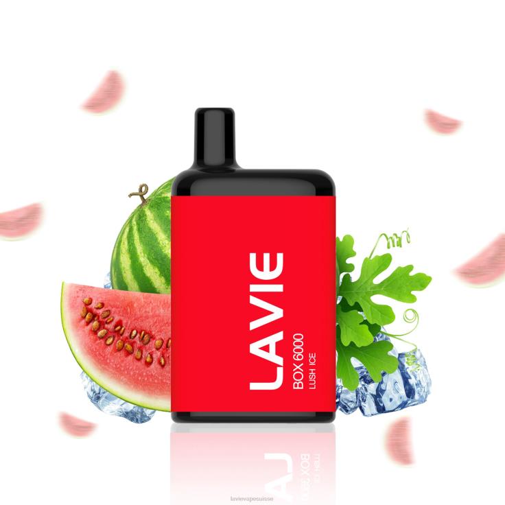glace luxuriante LAVIE BOX 6000 bouffées 2DHBL199 | Lavie Puffs